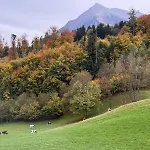 Thunersee View Lejlighed Spiez
