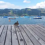 Thunersee View