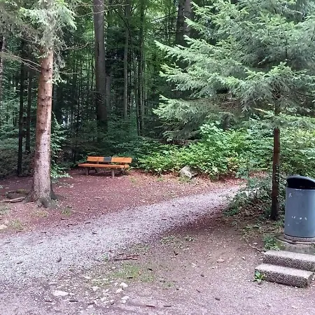 Thunersee View سبيز