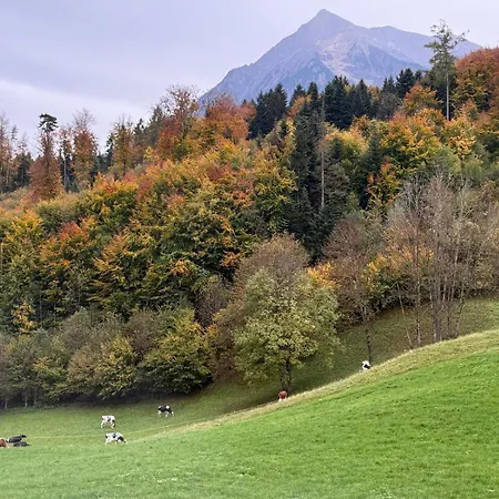 Thunersee View شقة سبيز