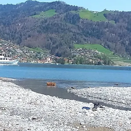 Thunersee View شقة *