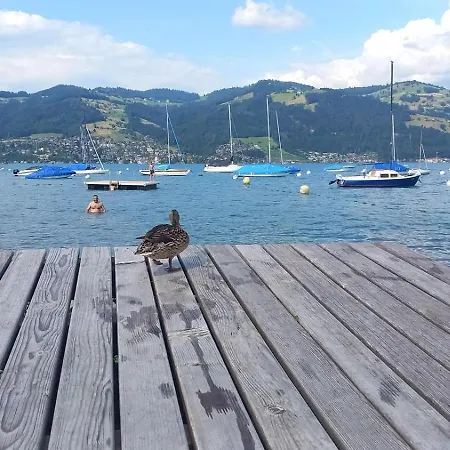 Thunersee View
