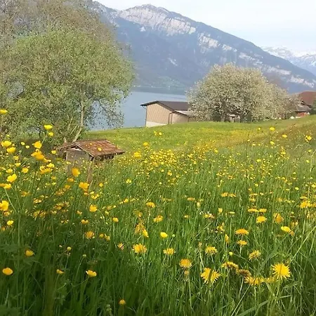 Thunersee View Apartman Spiez