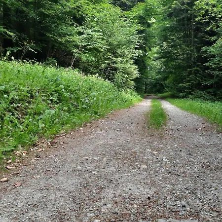 Thunersee View سبيز