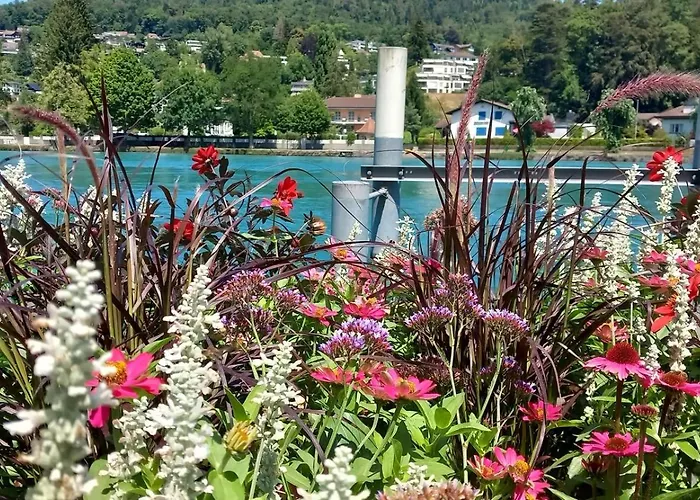 Thunersee View Spiez