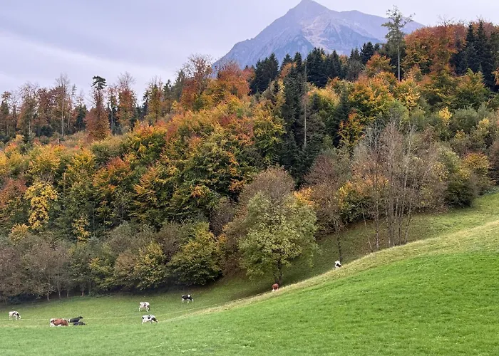 Thunersee View Appartement Spiez