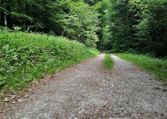 Thunersee View Spiez