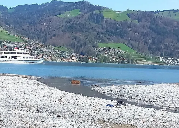 Thunersee View Apartamento *