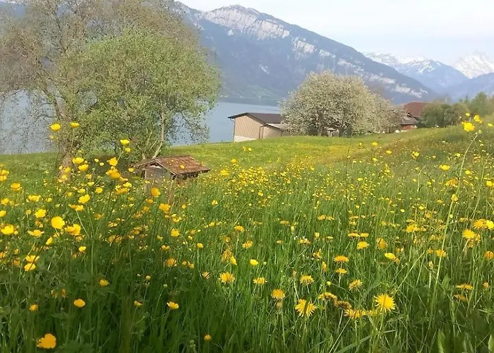 Thunersee View Lägenhet Spiez